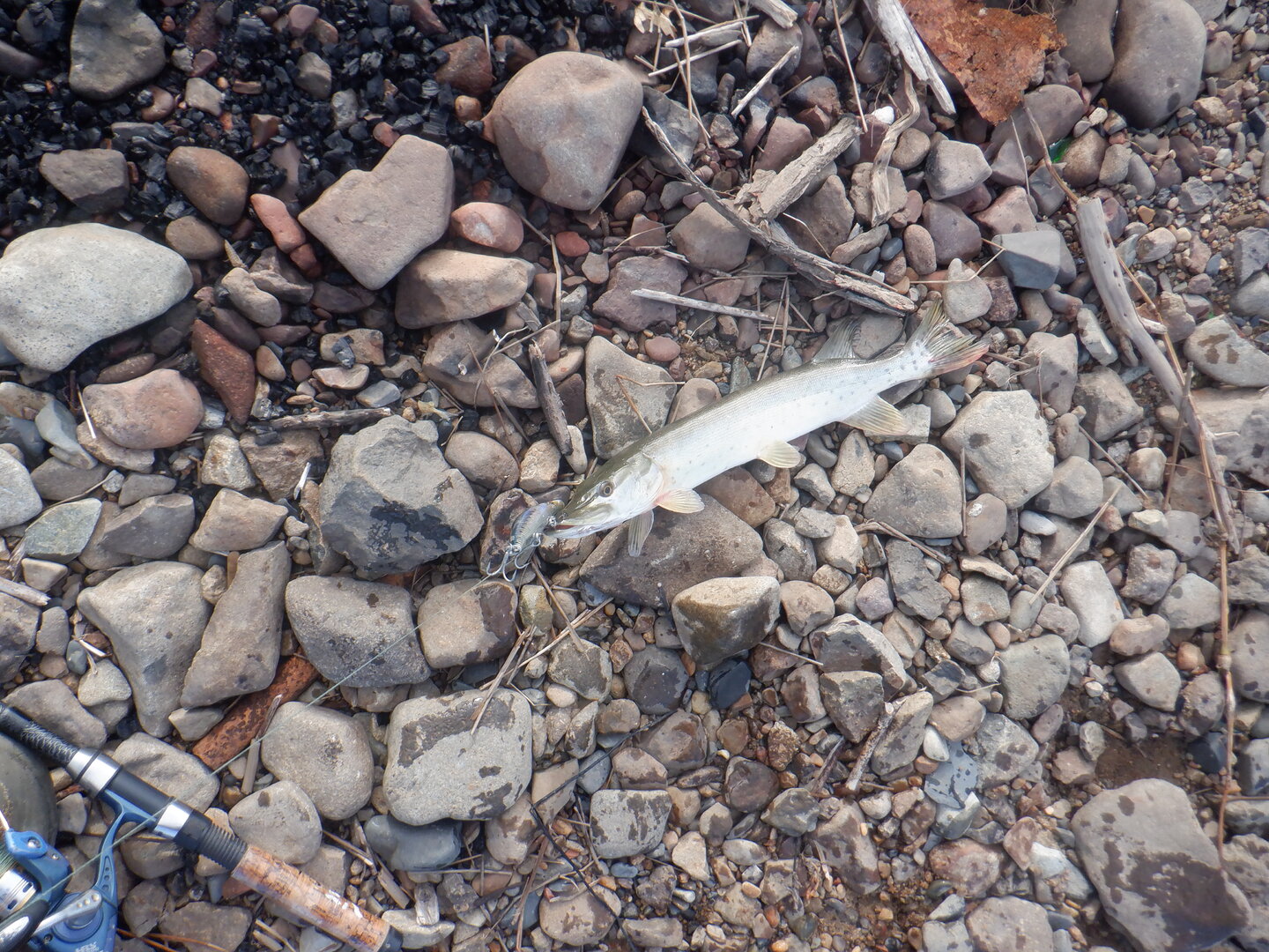 DSCF9832.JPG
