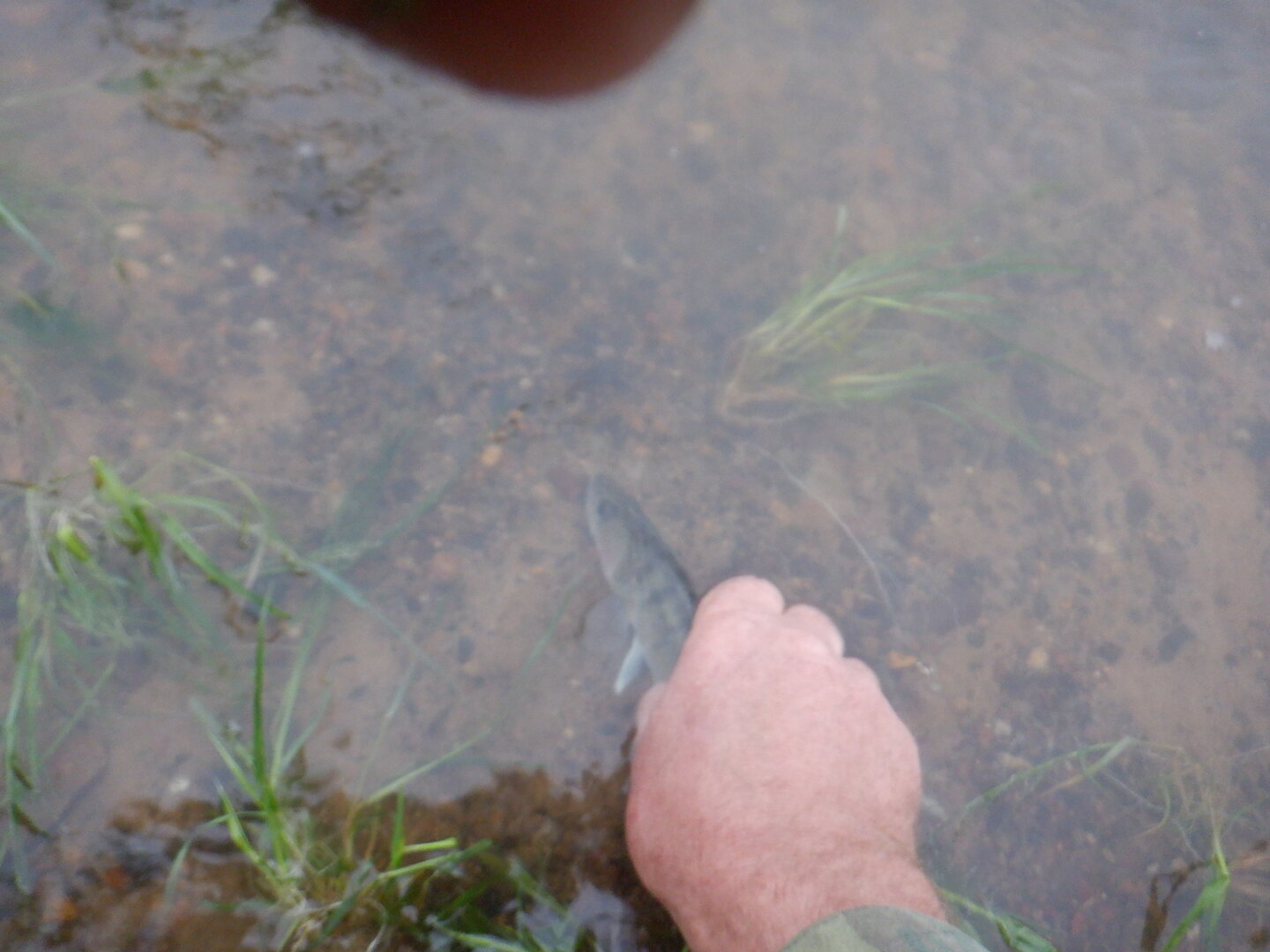 DSCF9844.JPG