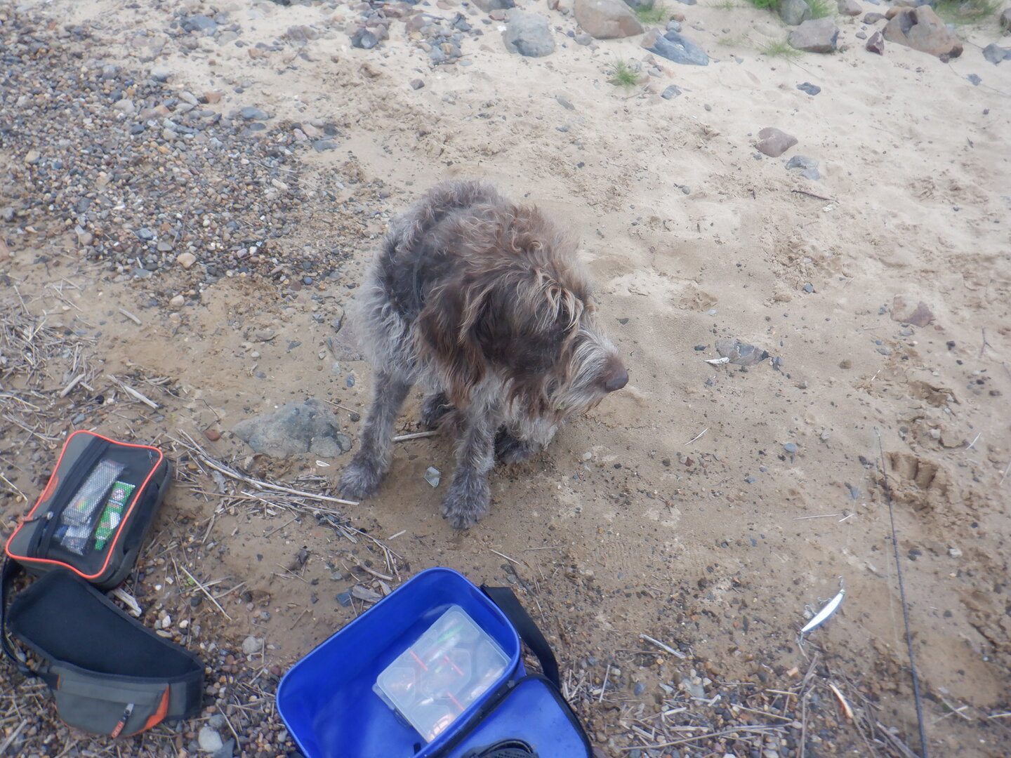 DSCF9848.JPG