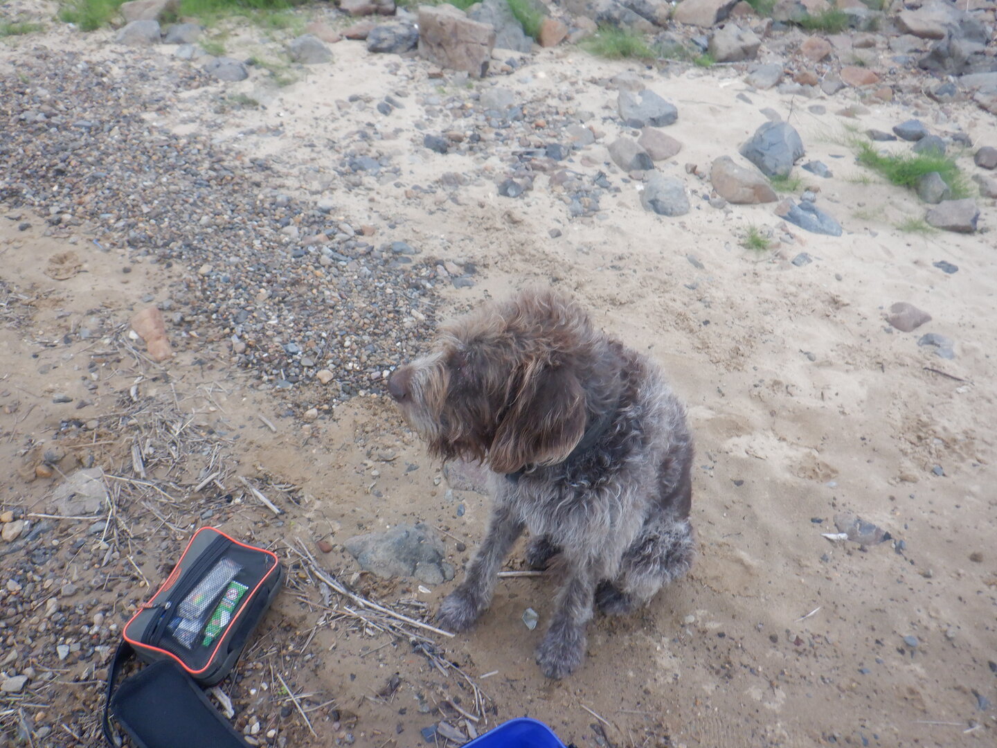 DSCF9849.JPG