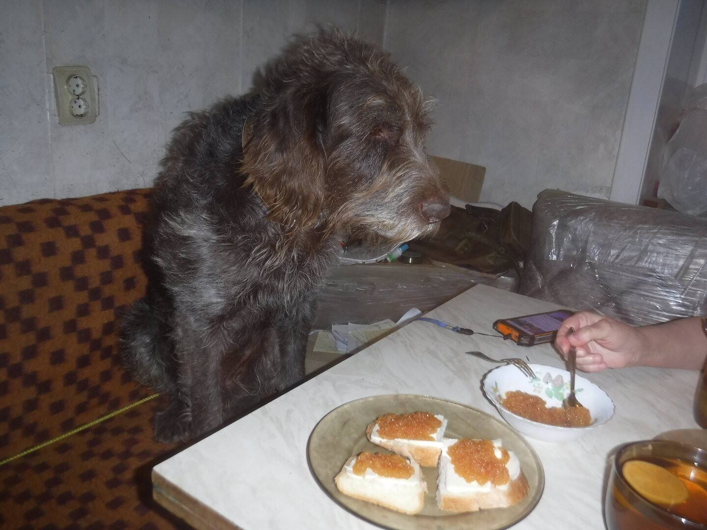 DSCF9850.JPG