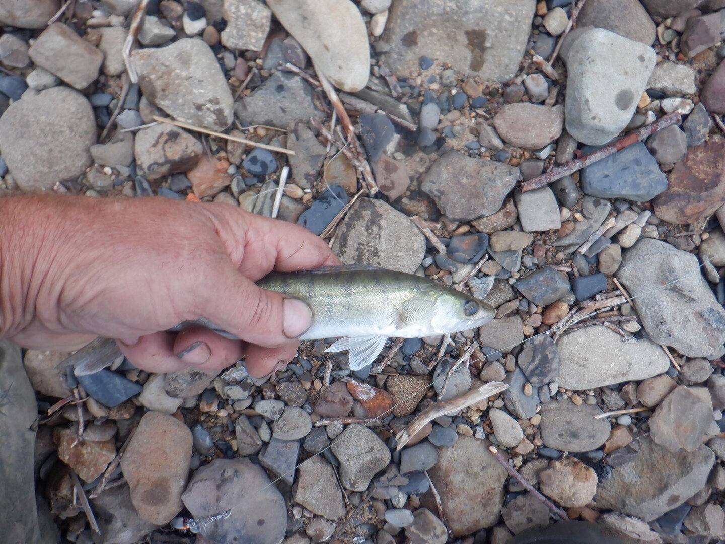 DSCF9858.JPG