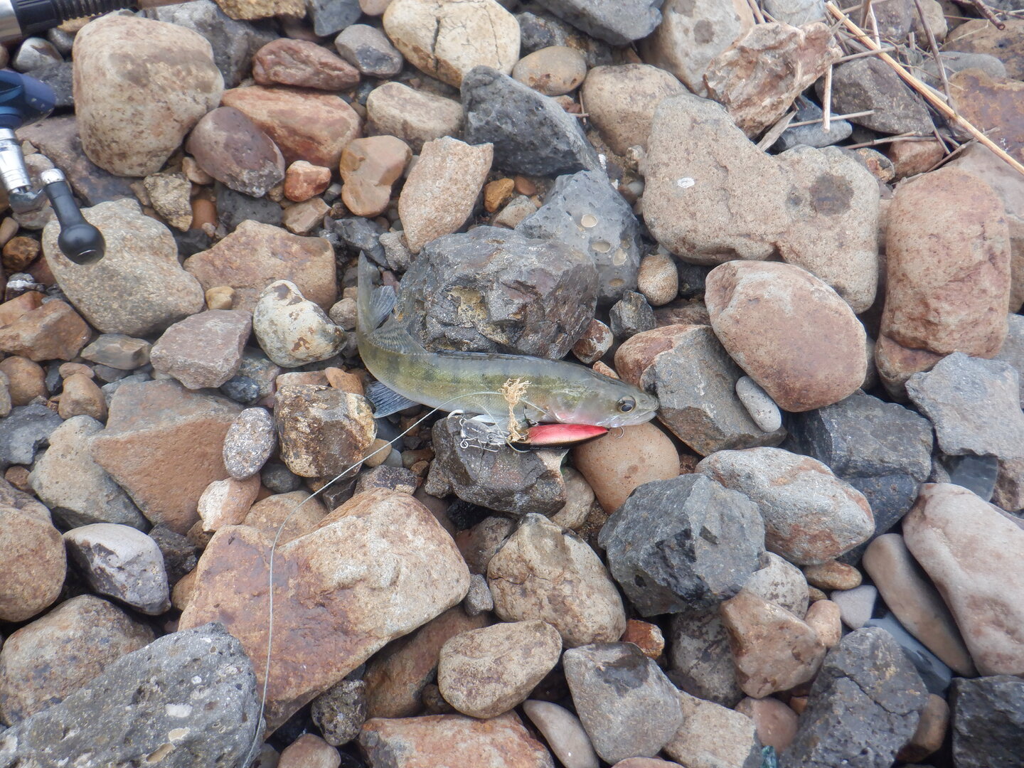 DSCF9860.JPG