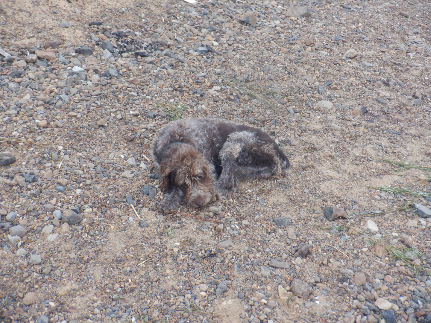 DSCF9861.JPG
