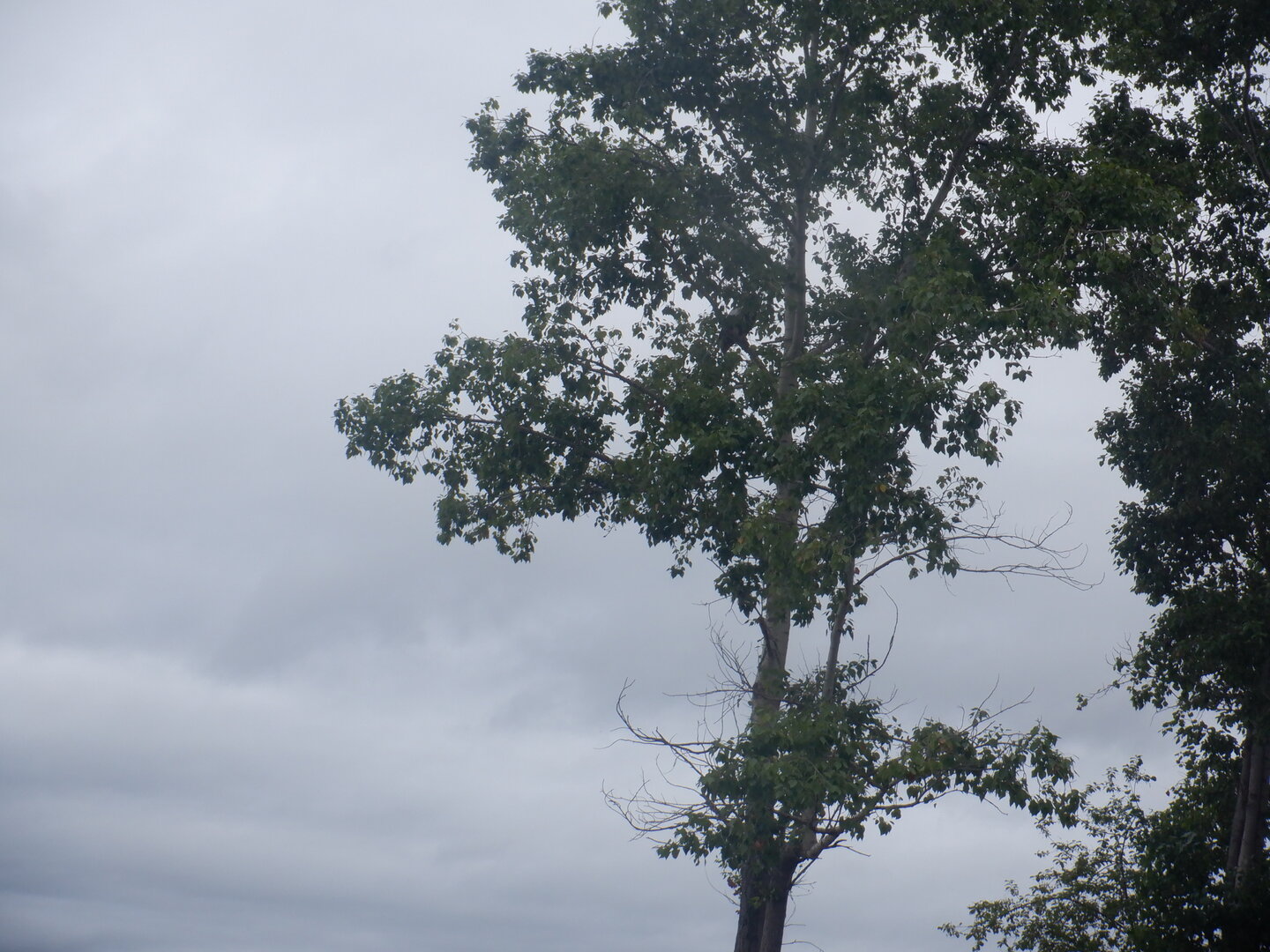 DSCF9862.JPG