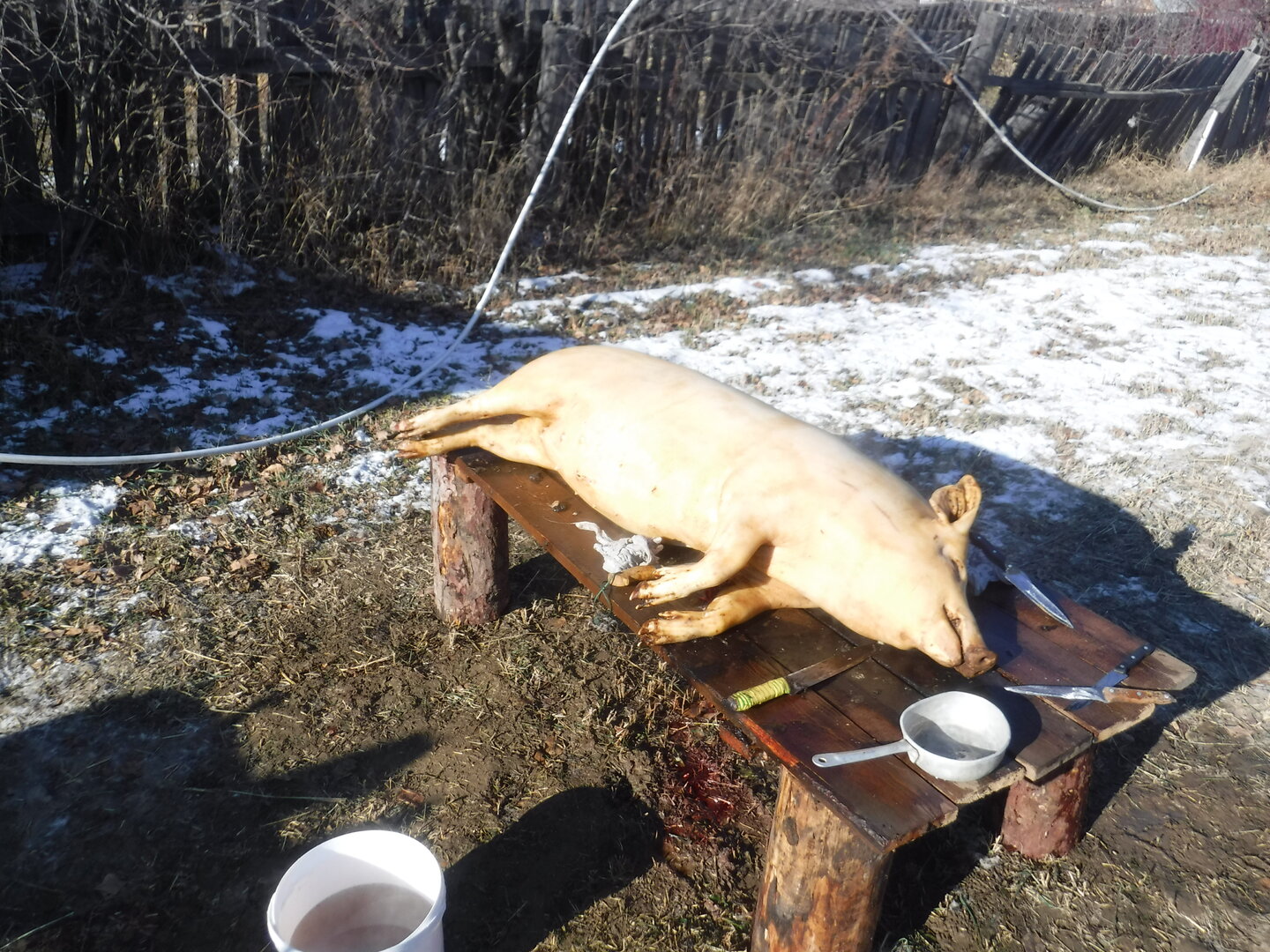 DSCF9864.JPG