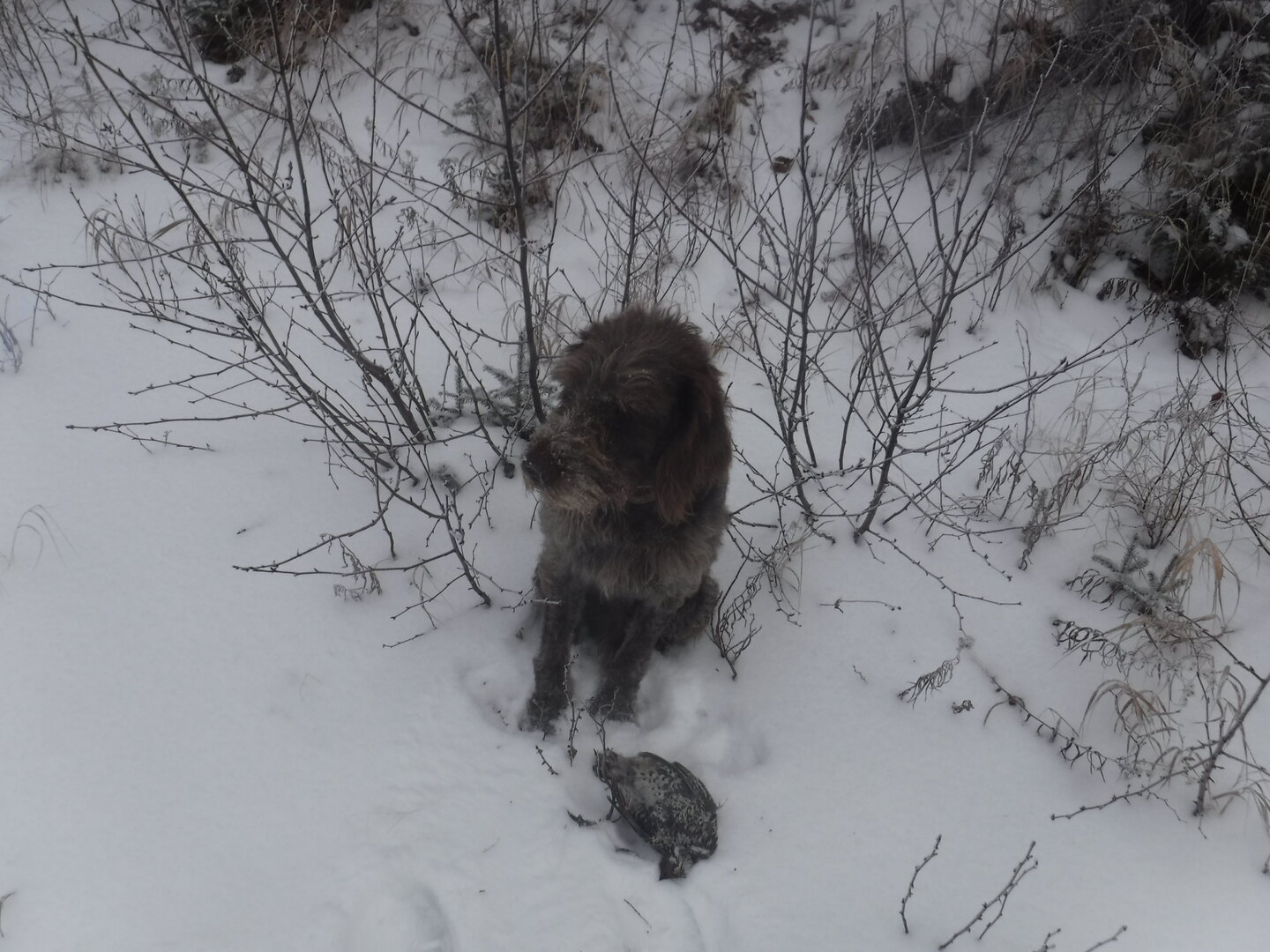 DSCF9886.JPG