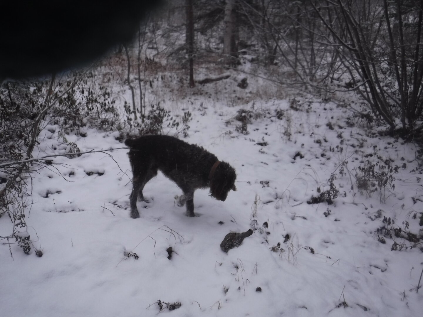 DSCF9894.JPG