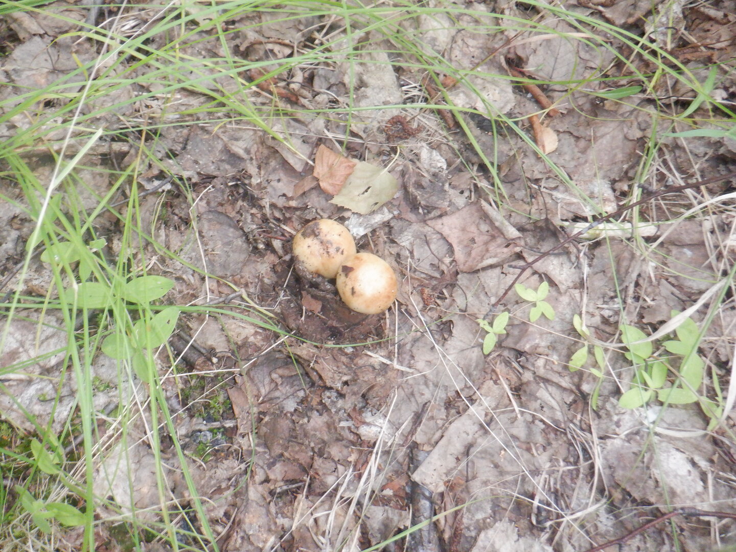 DSCF9899.JPG
