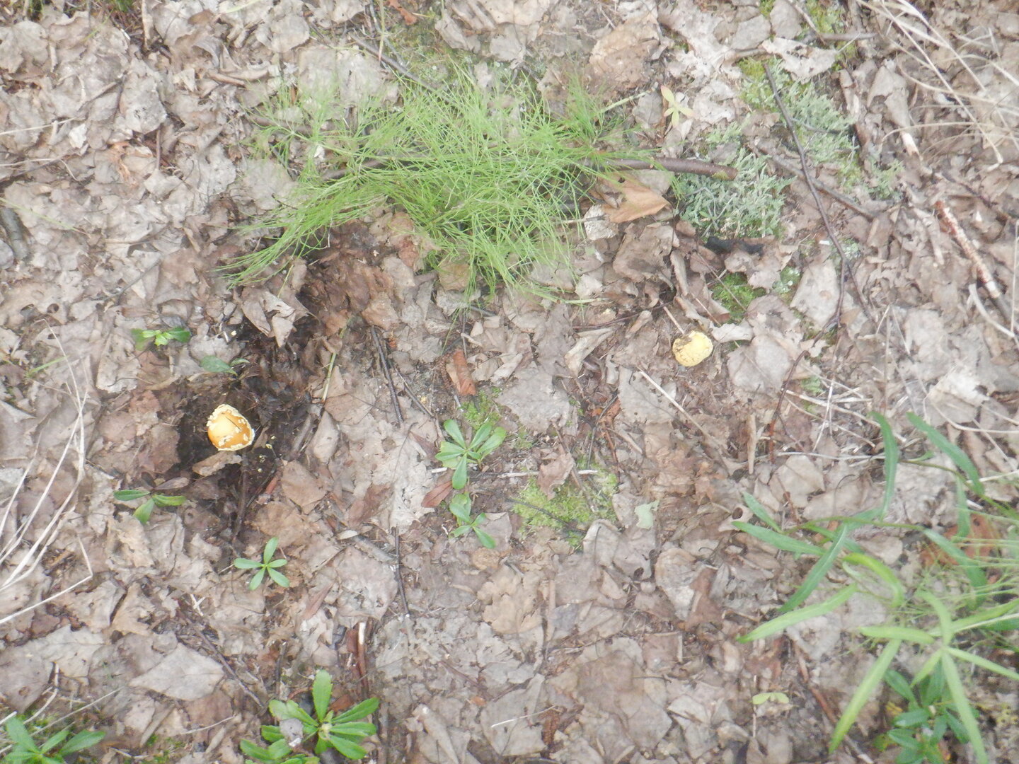DSCF9901.JPG