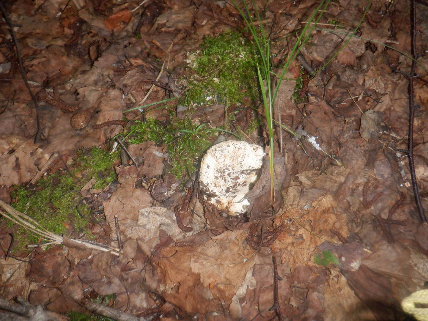 DSCF9905.JPG