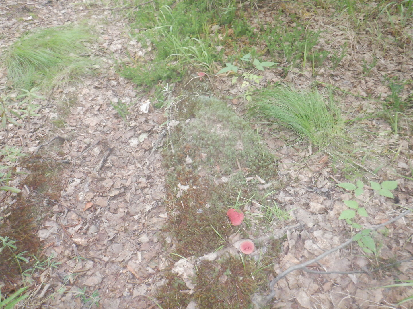 DSCF9911.JPG