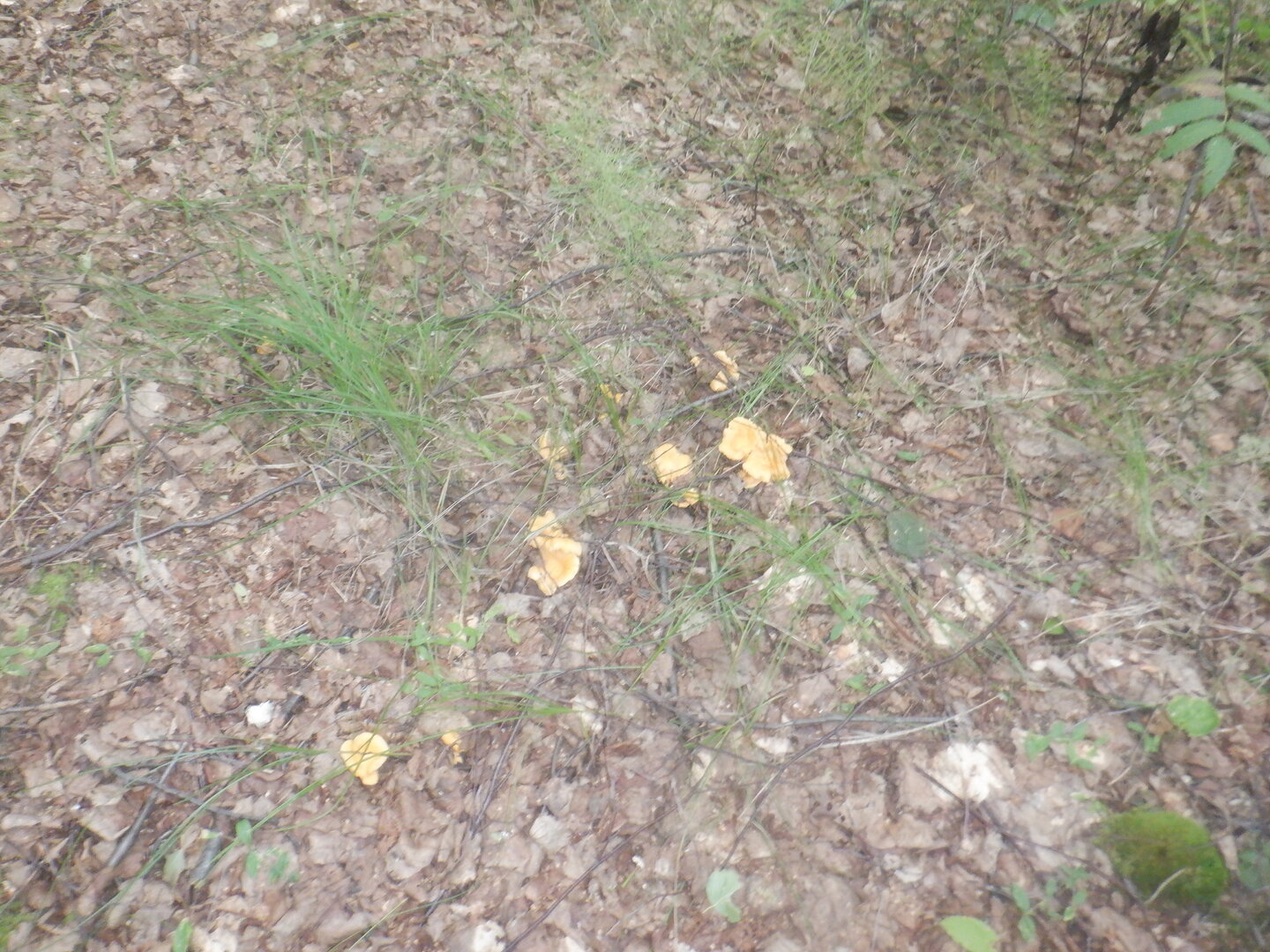 DSCF9920.JPG
