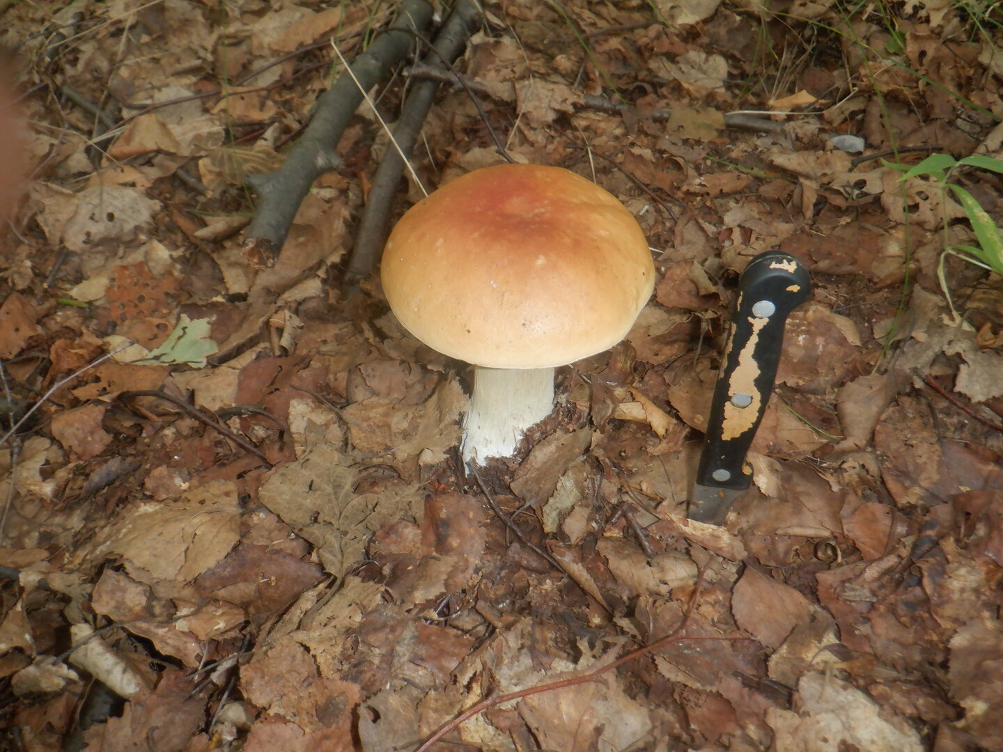 DSCF9924.JPG