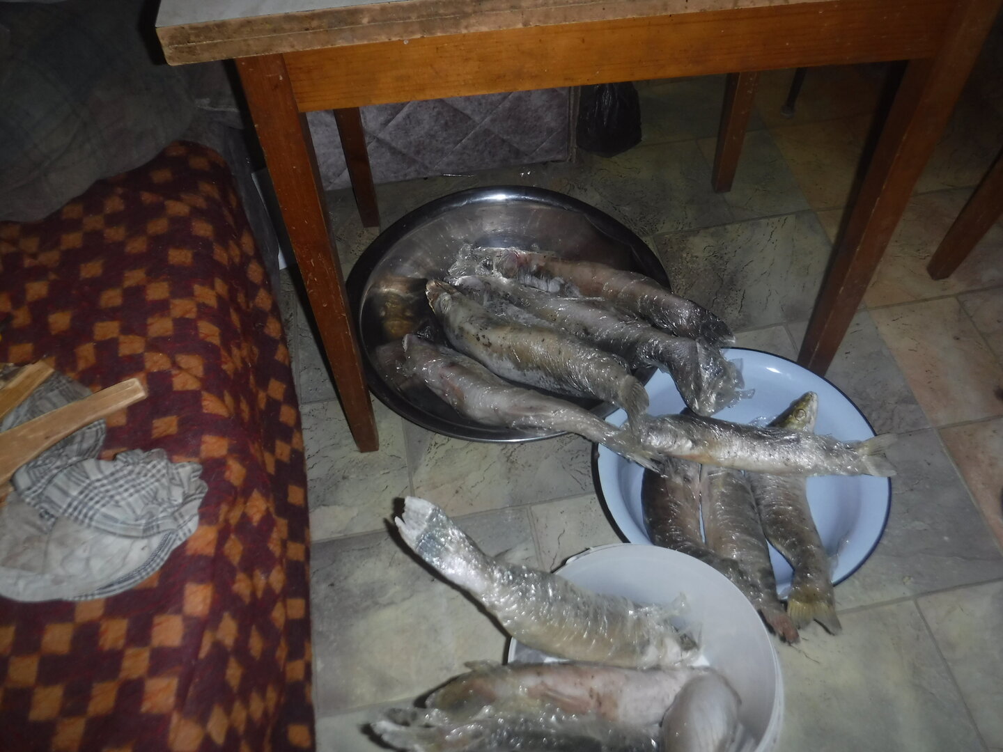 DSCF9961.JPG