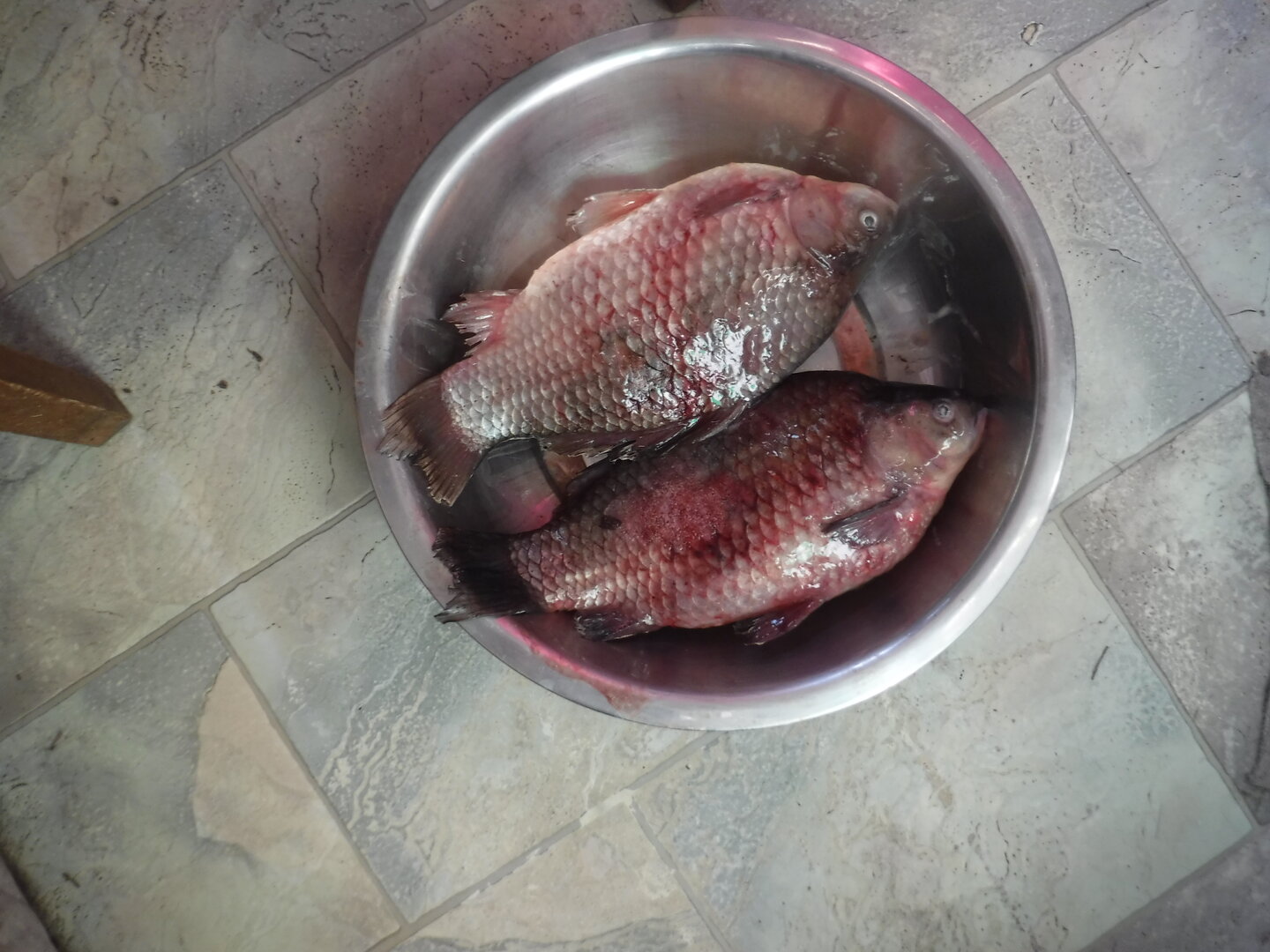 DSCF9983.JPG