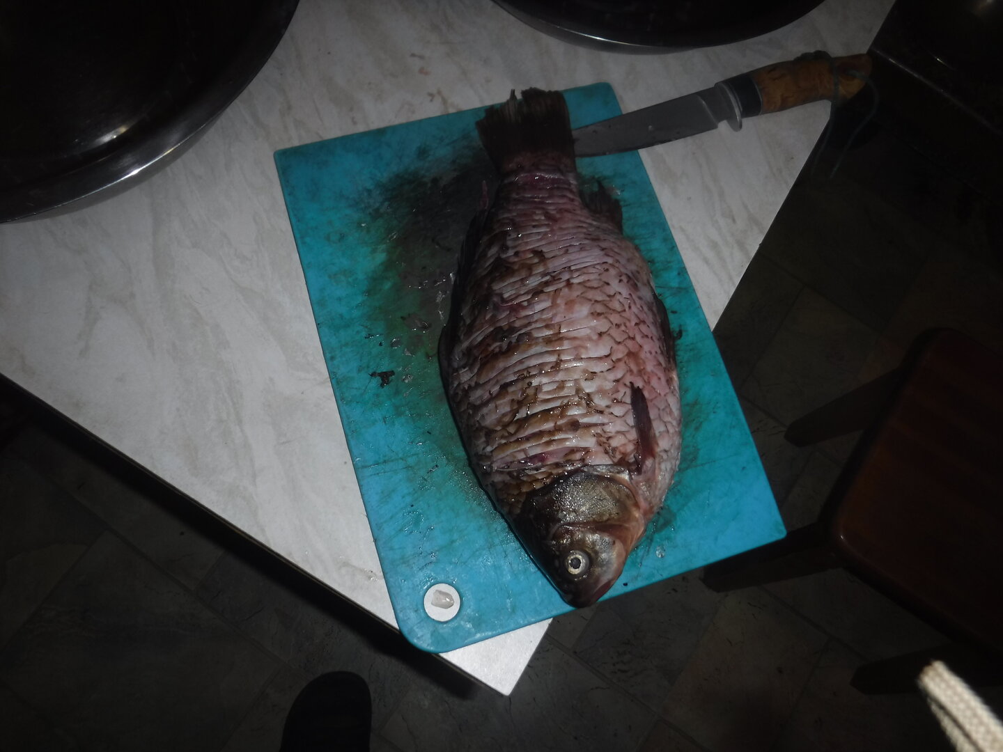 DSCF9985.JPG