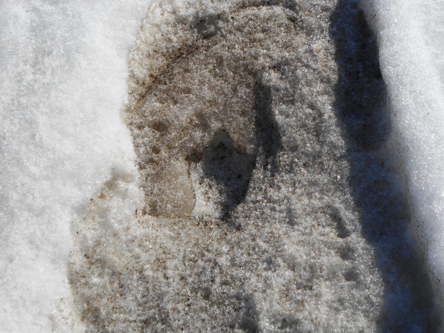 DSCN0013.JPG