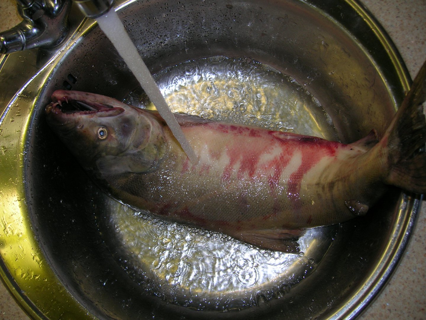 DSCN0017.JPG