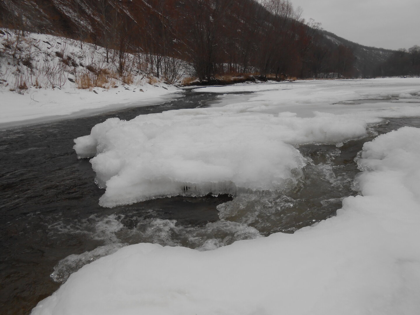 DSCN0024.JPG