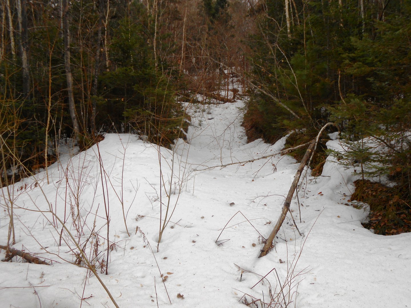 DSCN0030.JPG