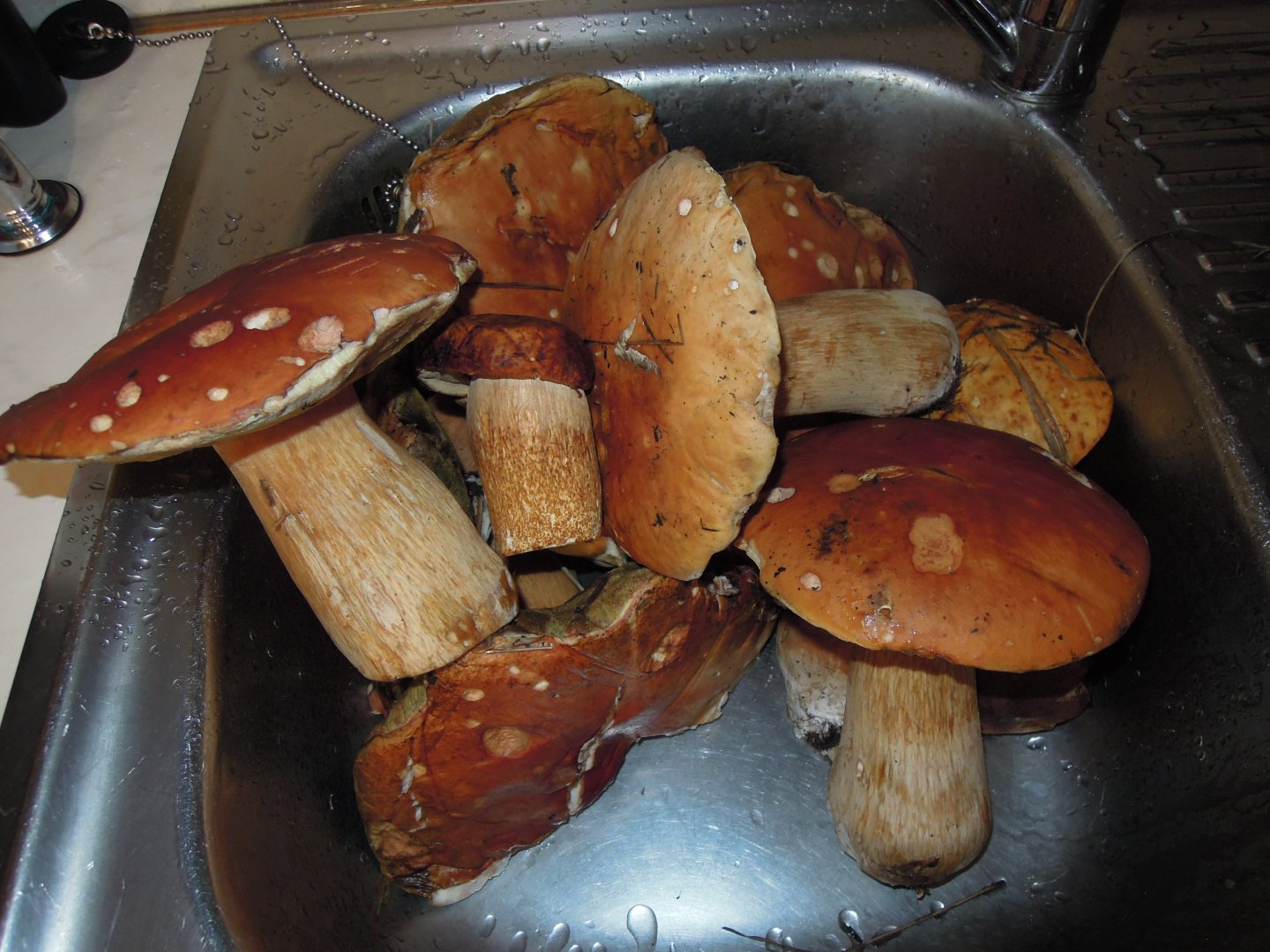 DSCN0080.JPG