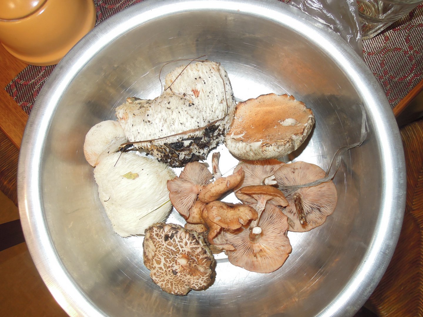 DSCN0081.JPG