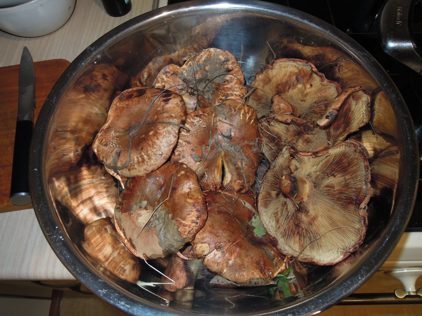 DSCN0082.JPG