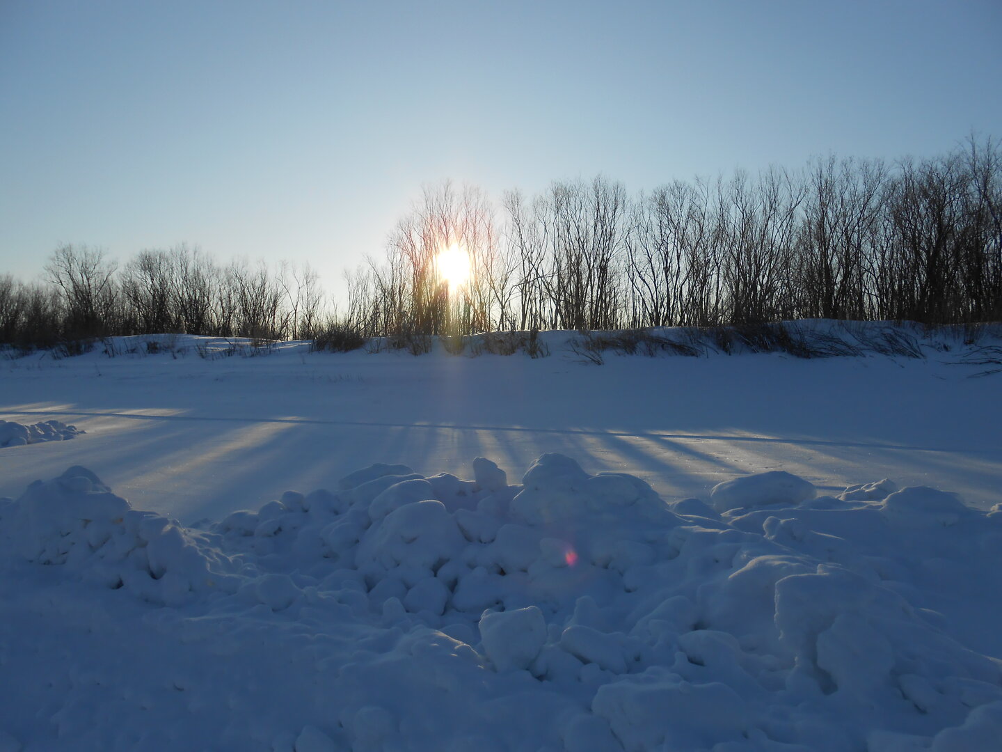 DSCN0118.JPG