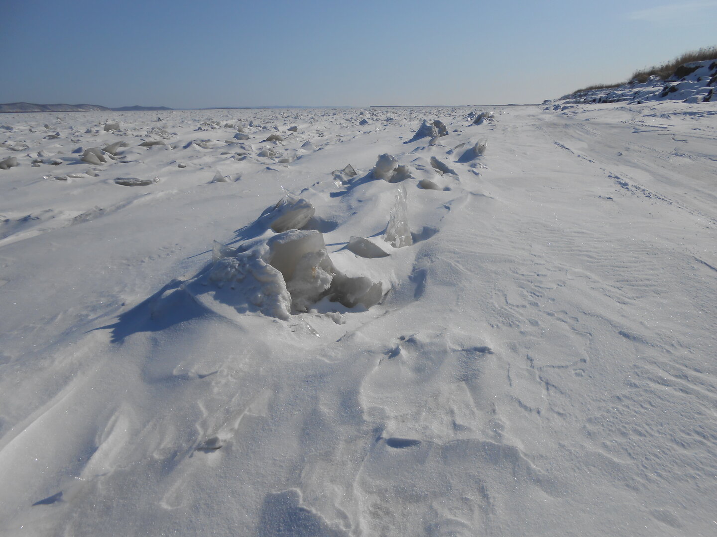 DSCN0214.JPG