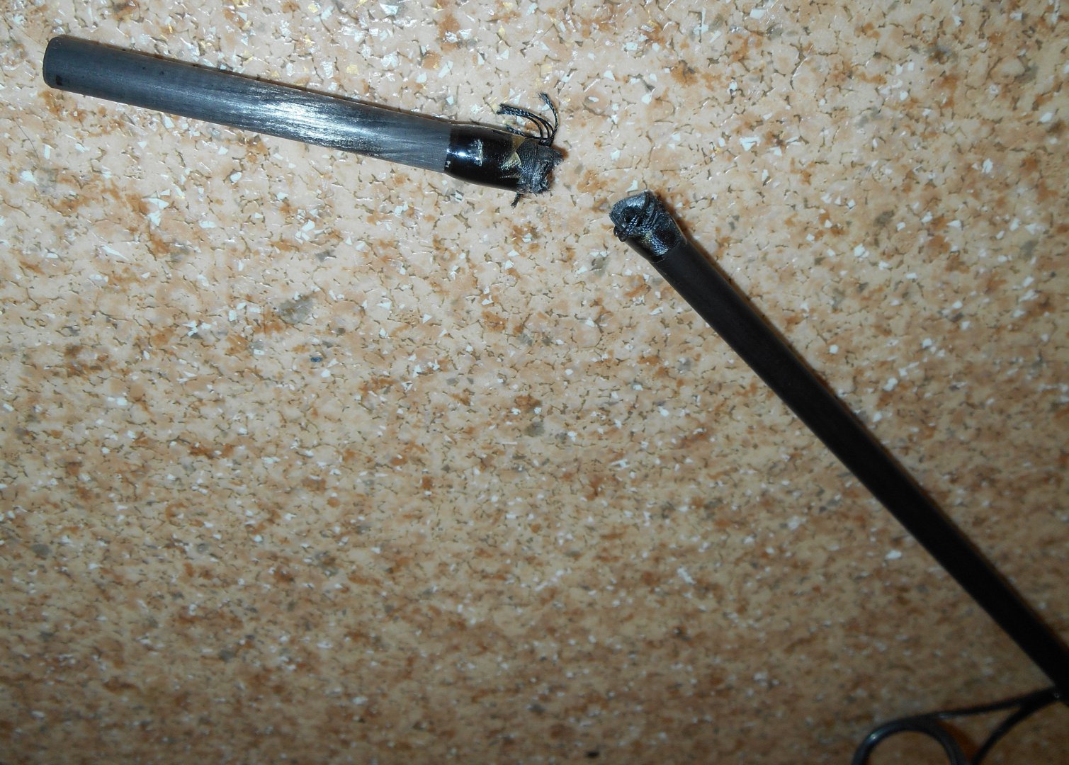 DSCN0219.JPG