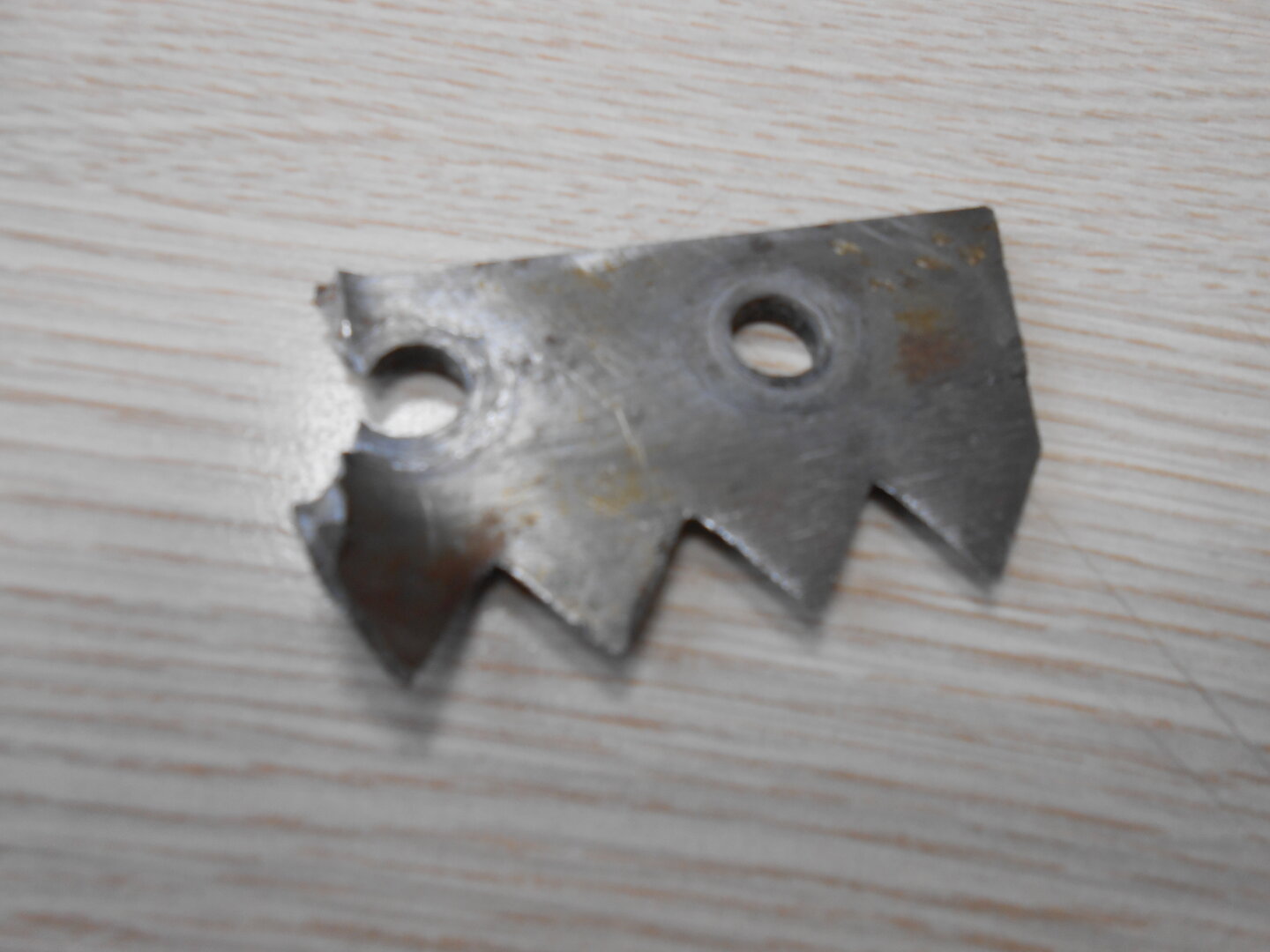 DSCN0230.JPG