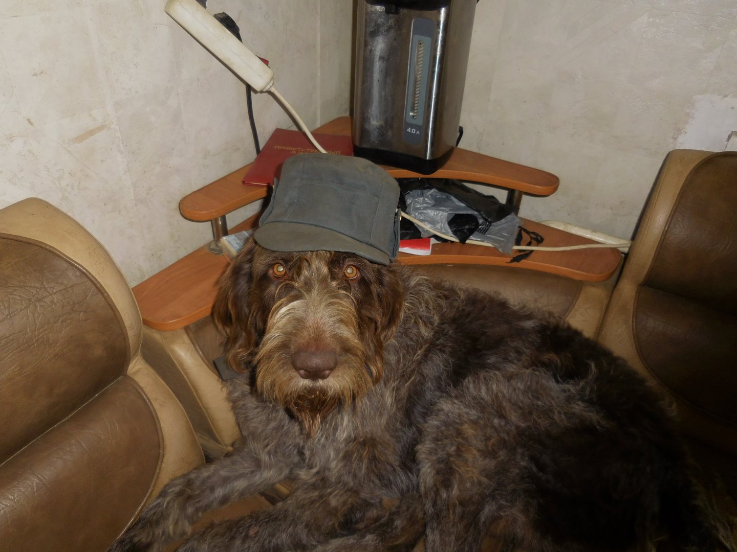 DSCN0232.JPG