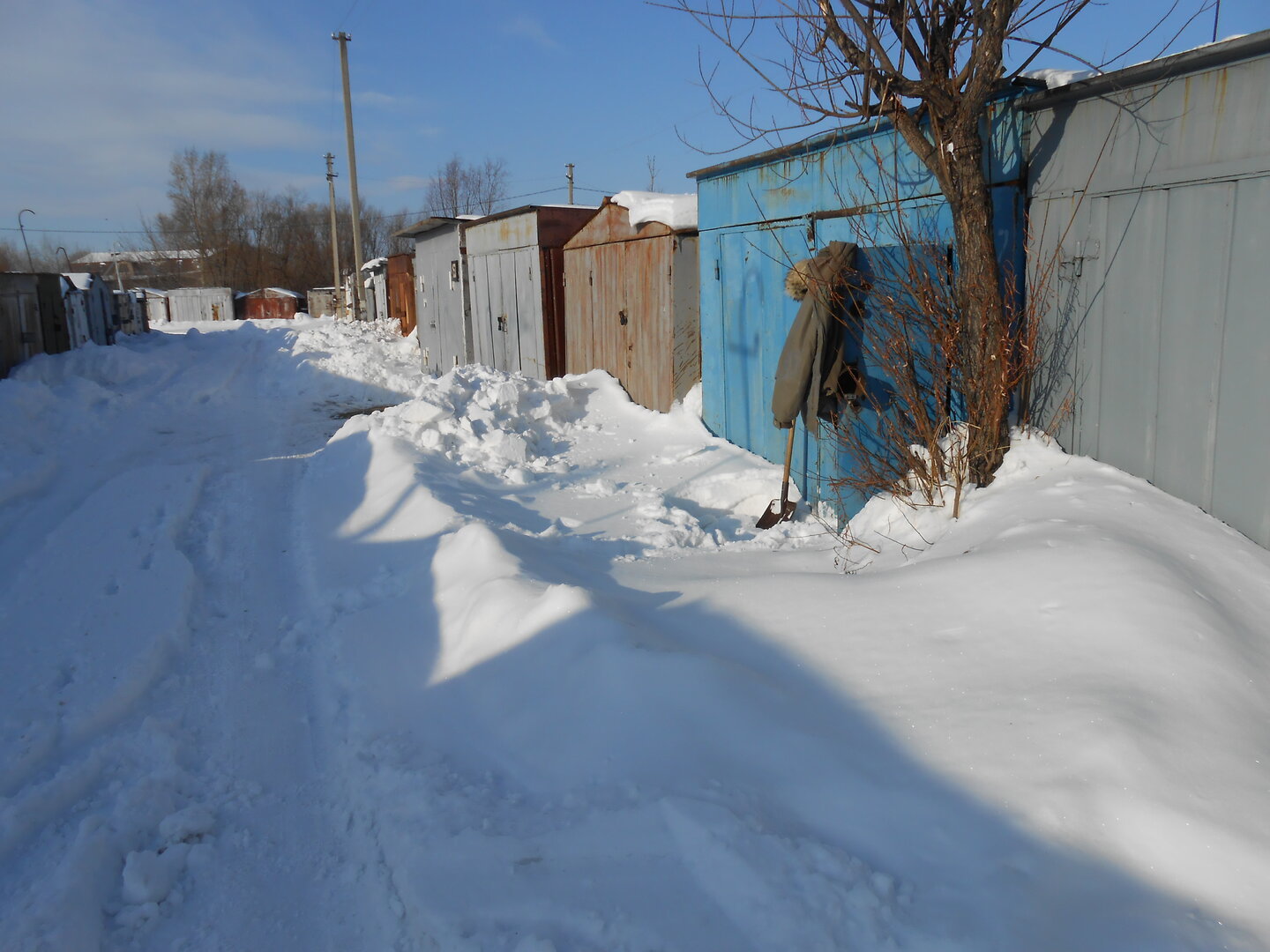 DSCN0248.JPG