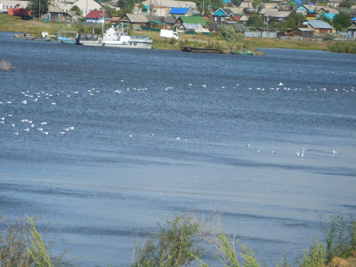 DSCN0257.JPG