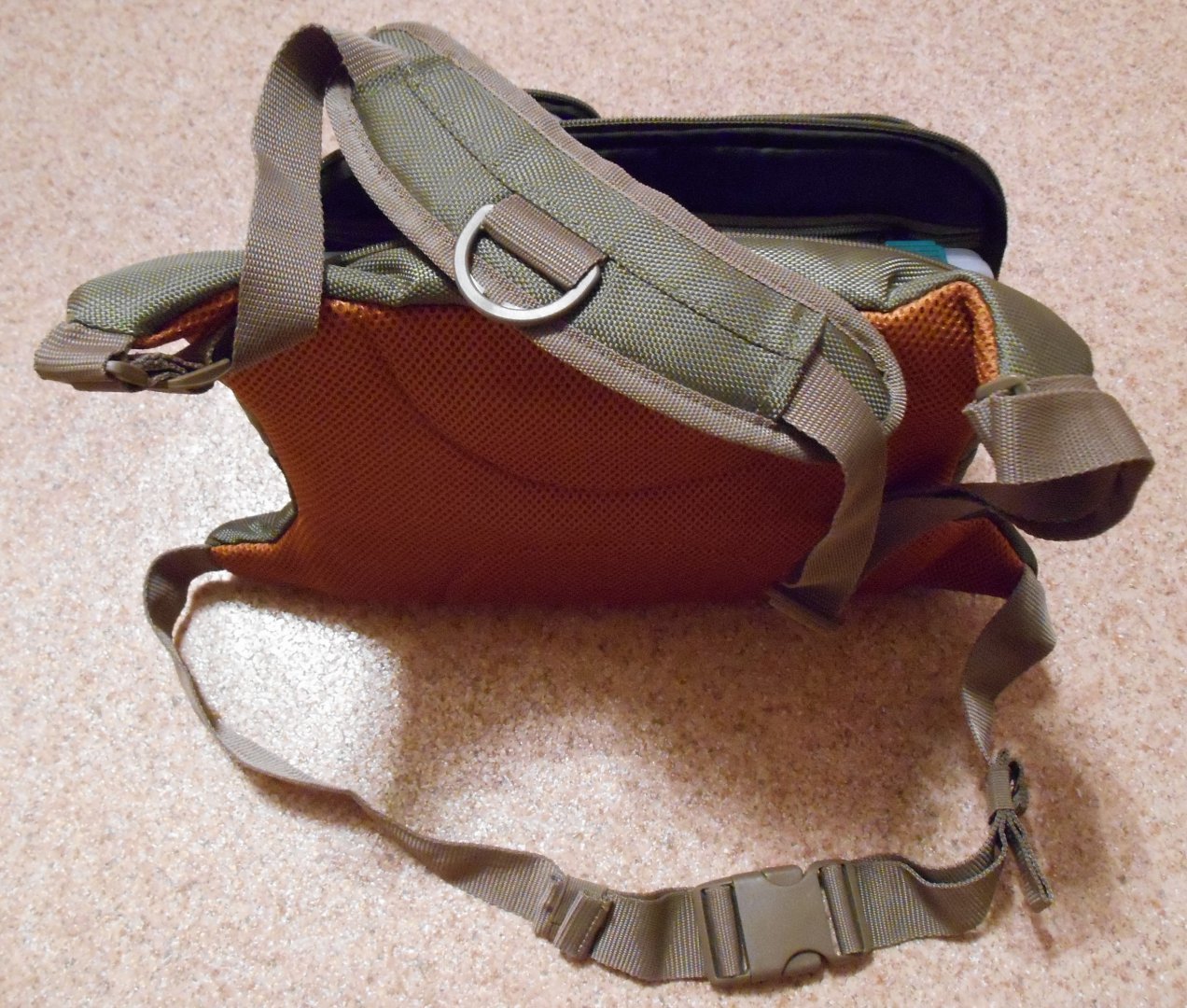 DSCN0258.JPG