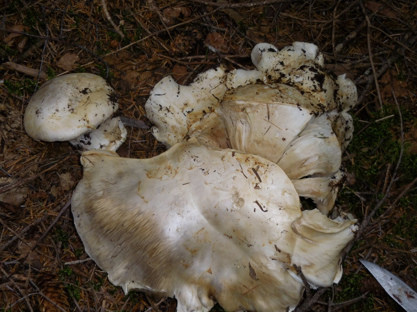 DSCN0276.JPG