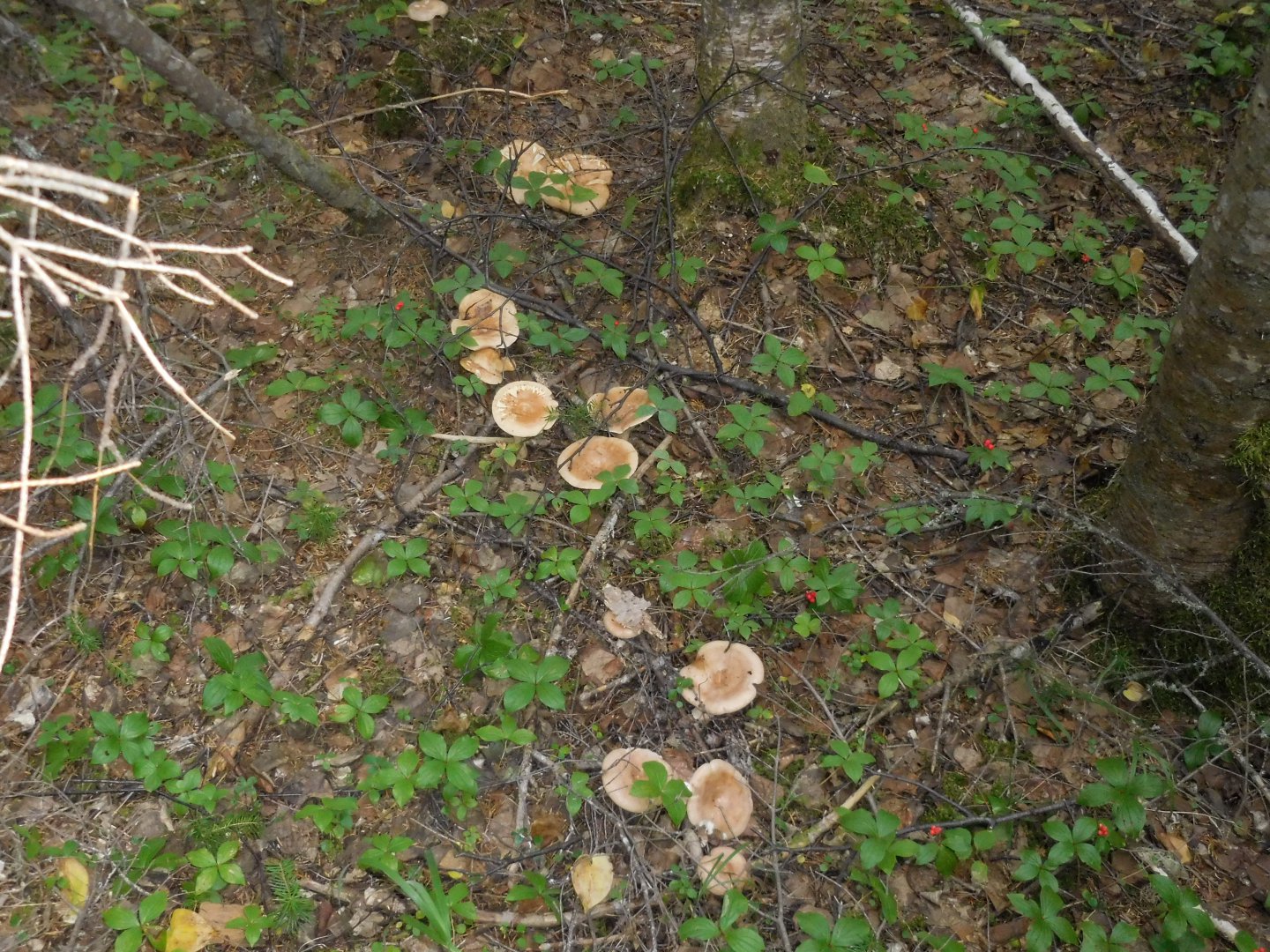 DSCN0280.JPG
