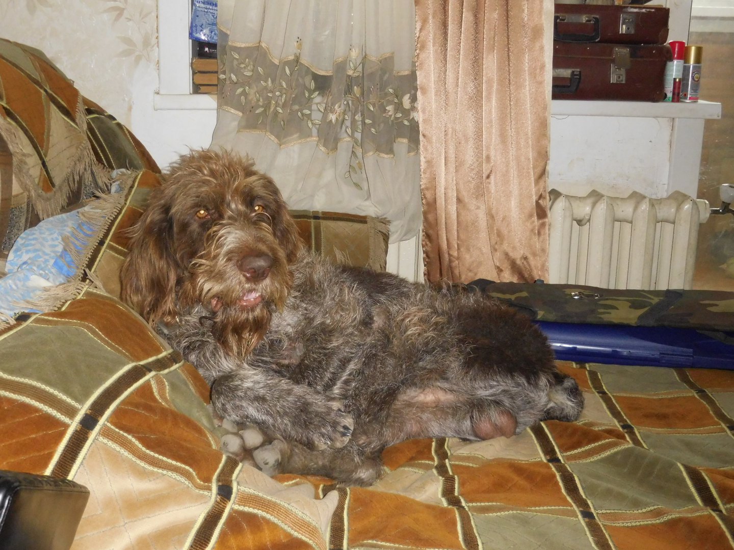 DSCN0284.JPG