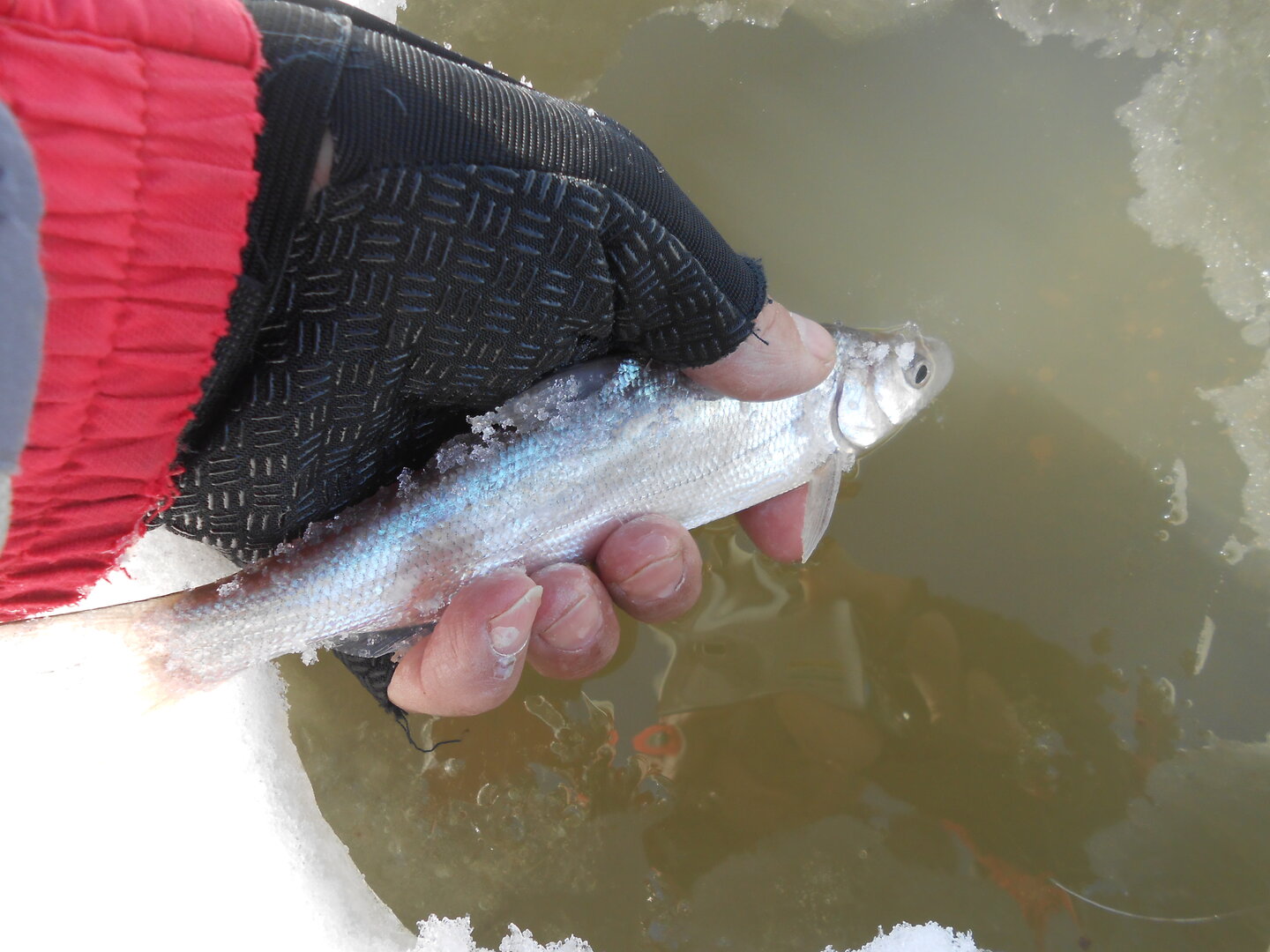 DSCN0288.JPG