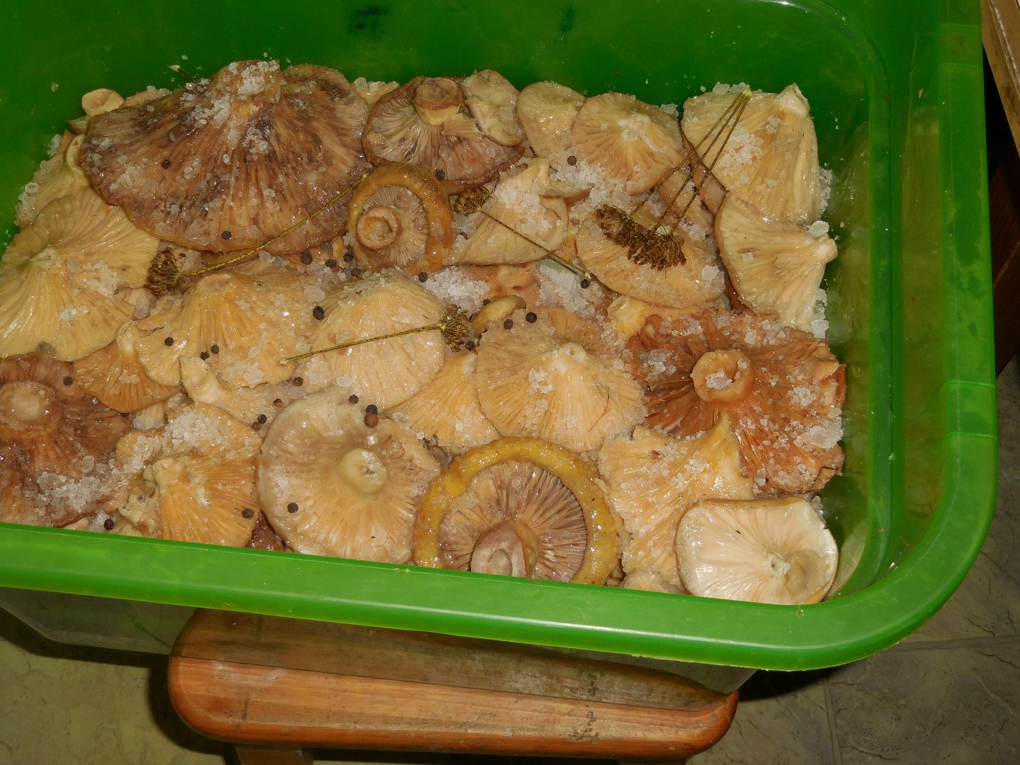 DSCN0290.JPG