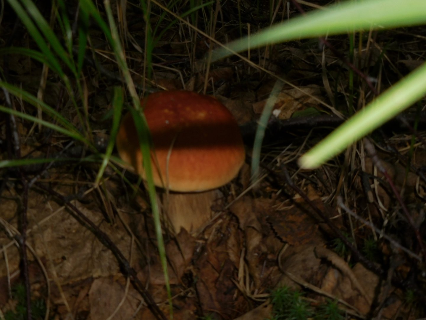 DSCN0296.JPG