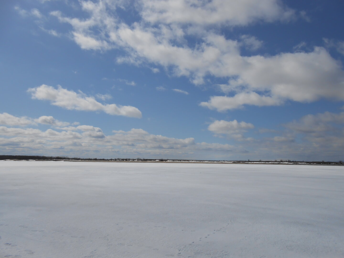 DSCN0298.JPG