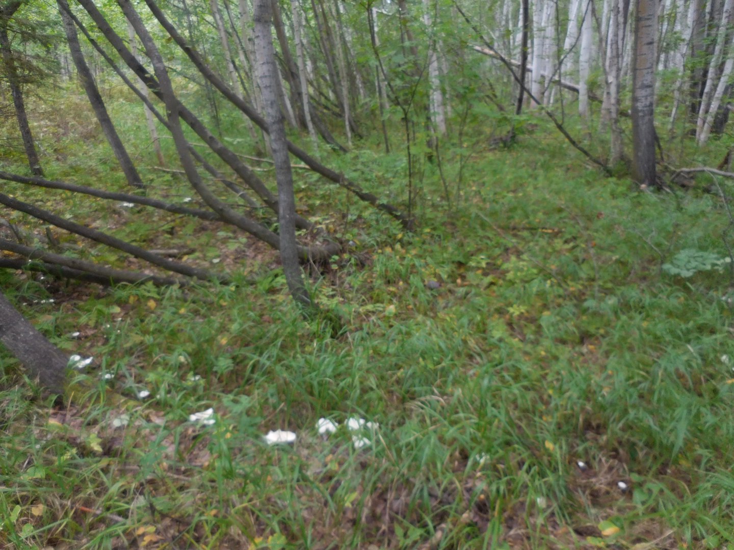 DSCN0308.JPG