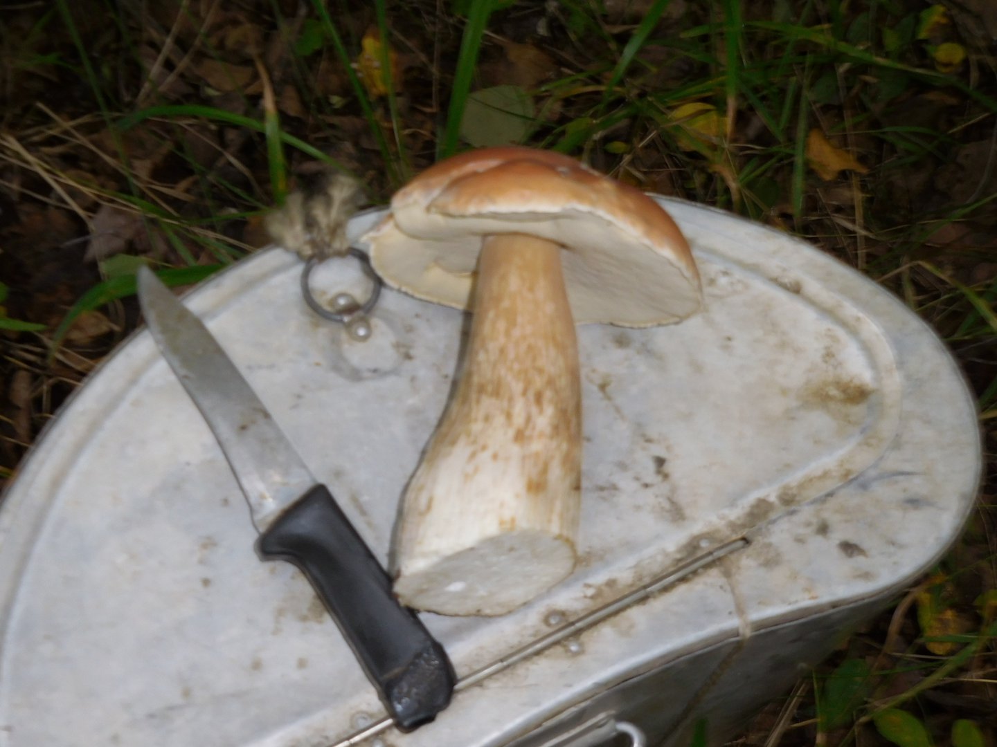 DSCN0310.JPG
