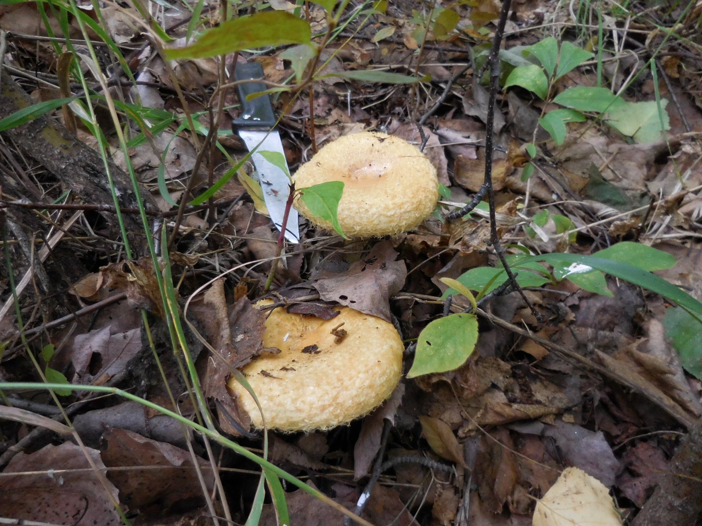 DSCN0315.JPG