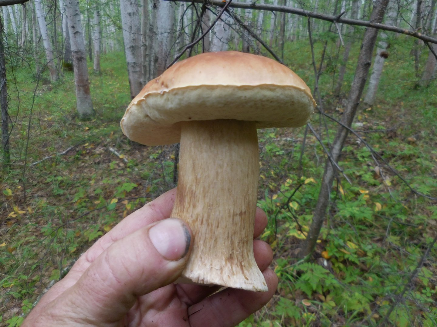 DSCN0317.JPG