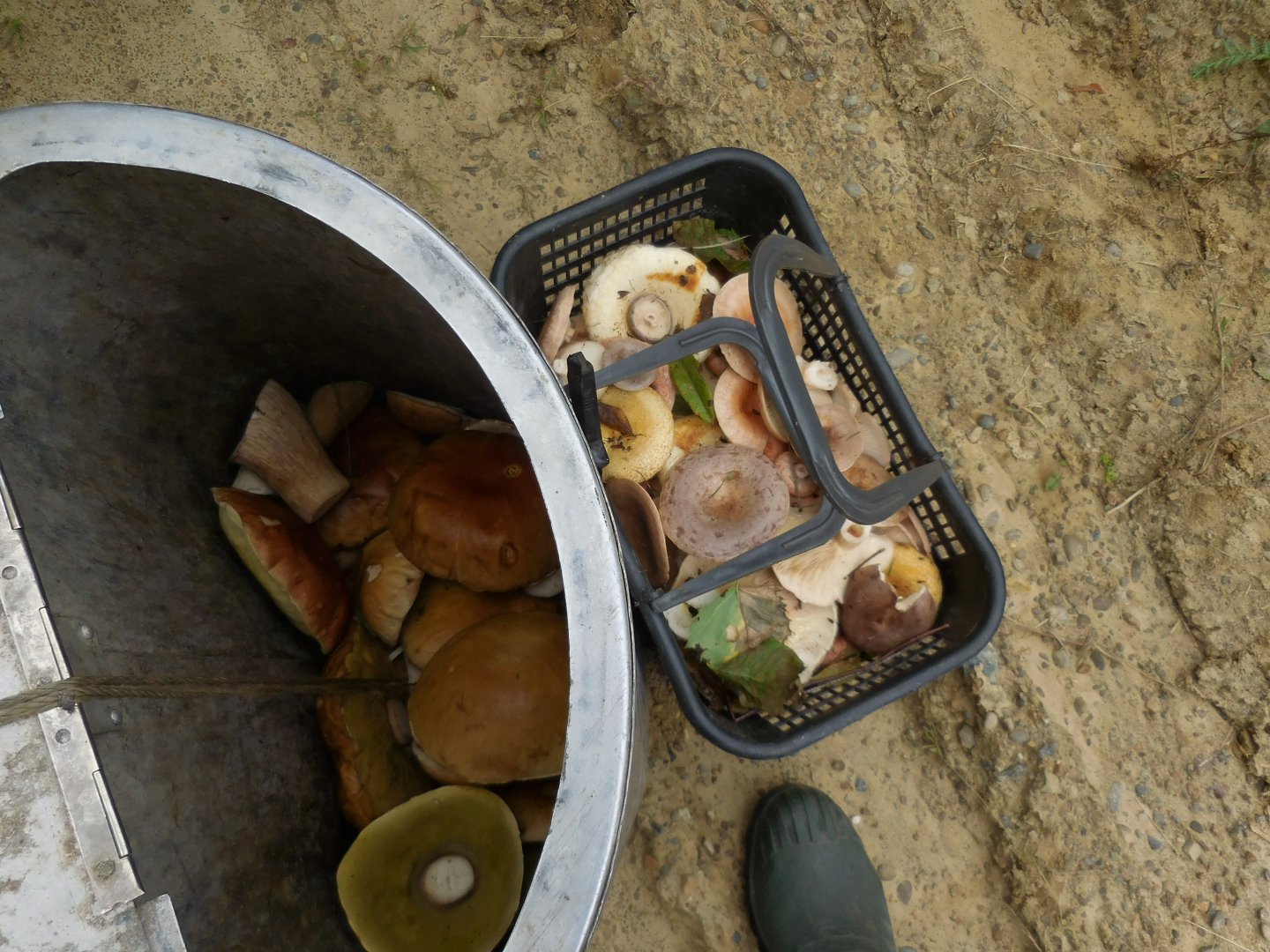 DSCN0318.JPG