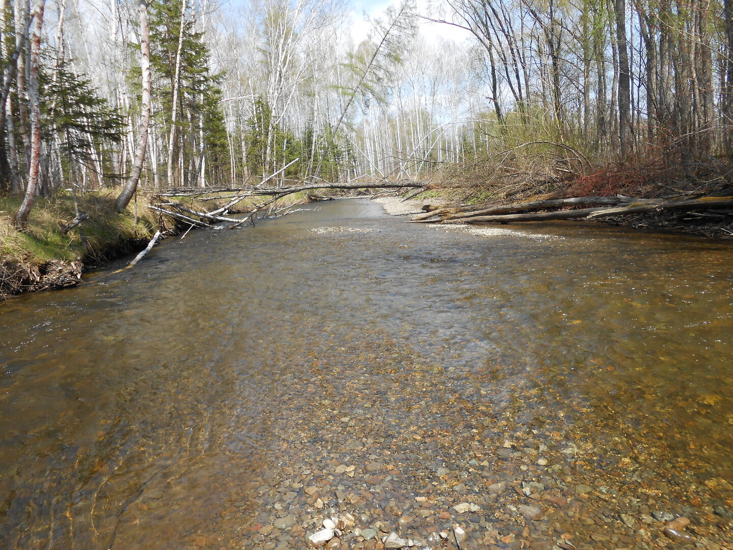 DSCN0358.JPG