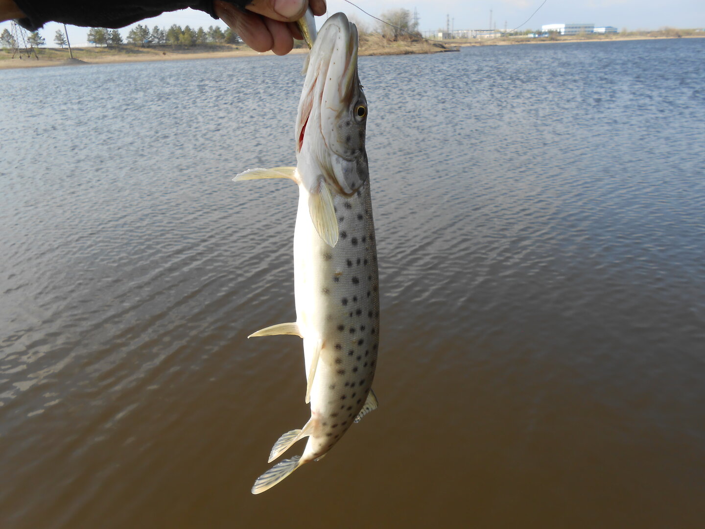 DSCN0369.JPG